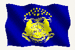 Missouri State Guard Battle Flag