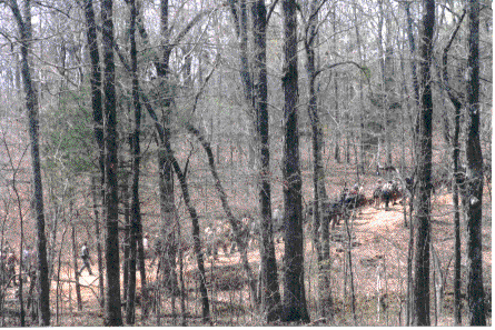 Part of our Grand Army on the road to the Battle of Shiloh at Shiloh, TN 2002